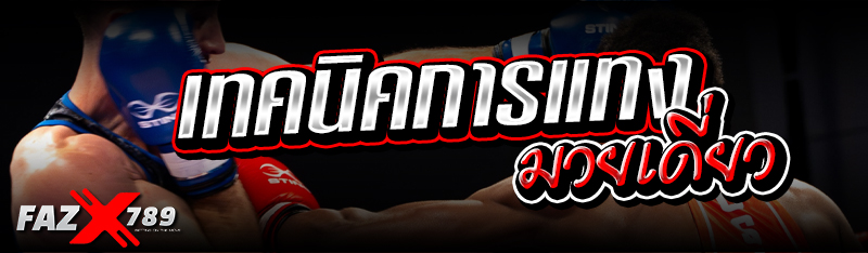 เทคนิคการแทงมวยเดี่ยว 